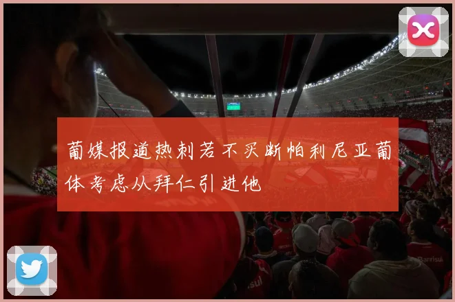 葡媒报道热刺若不买断帕利尼亚葡体考虑从拜仁引进他