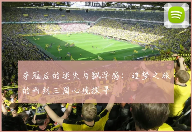 夺冠后的迷失与飘浮感：追梦之旅的两到三周心境探寻