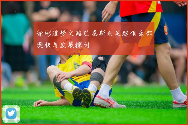 徐彬追梦之路巴恩斯利足球俱乐部现状与发展探讨